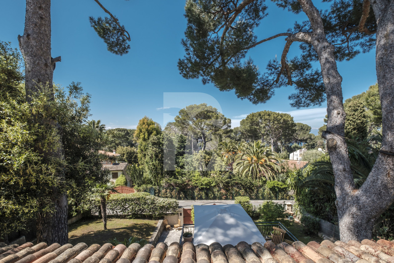 villa in Cap d'Antibes : Rent this charming Villa close to the Garoupe Beach on Cap d Antibes - Photo 12