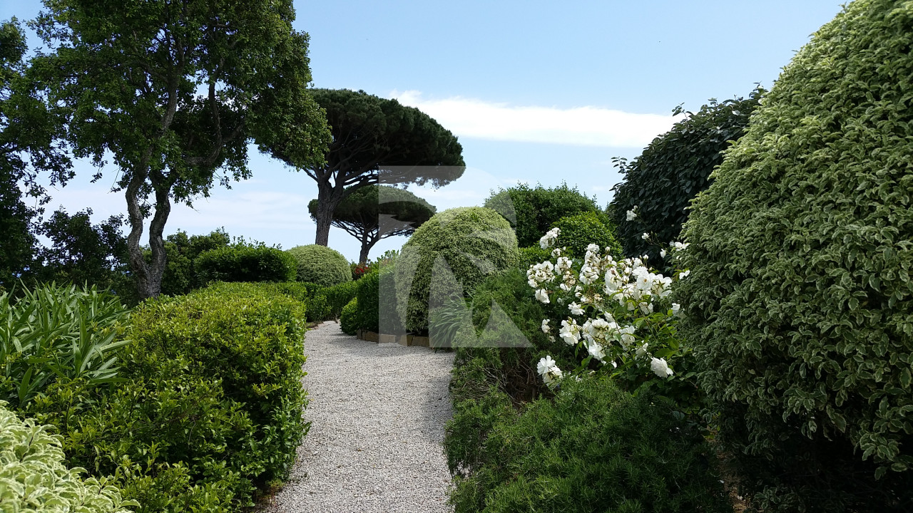 villa in St Tropez : Rent this extraordinary property  nestled in a private and secured domain close to St Tropez. - Photo 4
