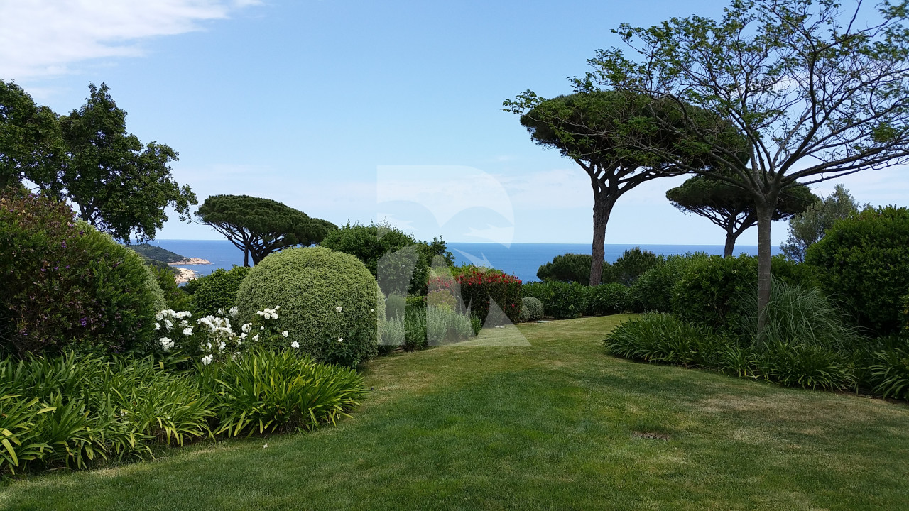 villa in St Tropez : Rent this extraordinary property  nestled in a private and secured domain close to St Tropez. - Photo 6