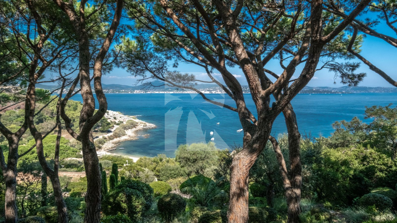 villa in St Tropez : Rent this beautiful 5 bedroom villa located within walking distance to the centre of St Tropez - Photo 5