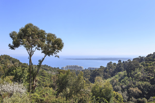 villa in Cannes : Rent modern 6 bedroom villa with swimming pool and sea view in the heights of Cannes - Photo 36