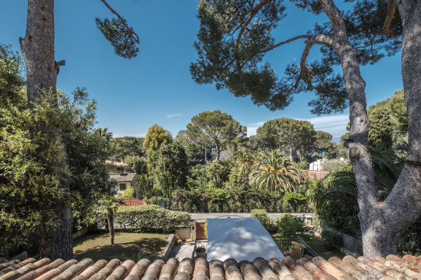 villa in Cap d'Antibes : Rent this charming Villa close to the Garoupe Beach on Cap d Antibes - Photo 12