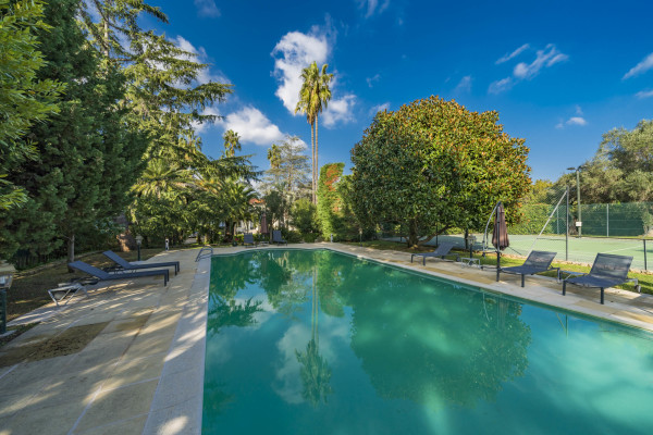 villa in Cap d'Antibes : Rent 10 bedroom sea front villa on the Cap d'Antibes with huge gardens, pool and tennis court just off the beach with sea views - Photo 14