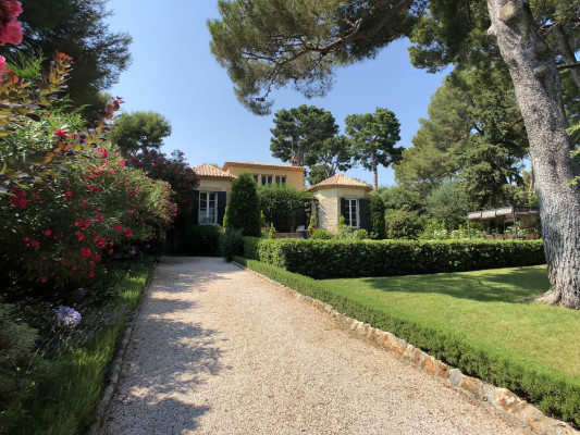 villa in Cap d'Antibes : Rent gorgeous villa on the Cap d'Antibes, close to the beaches with 6 bedrooms, wonderful gardens and swimming pool - Photo 14