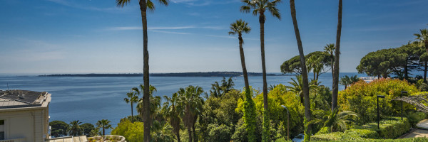 villa in Cannes : Rent superb modern villa with swimming pool, cinema room, gym, hammam and sea view in Cannes - Photo 61