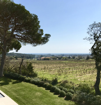 villa in St Tropez : Rent stunning 6 bedroom villa with gym, wine cellar and swimming pool and views over the Mediterranean sea and vineyard in St Tropez - Photo 95
