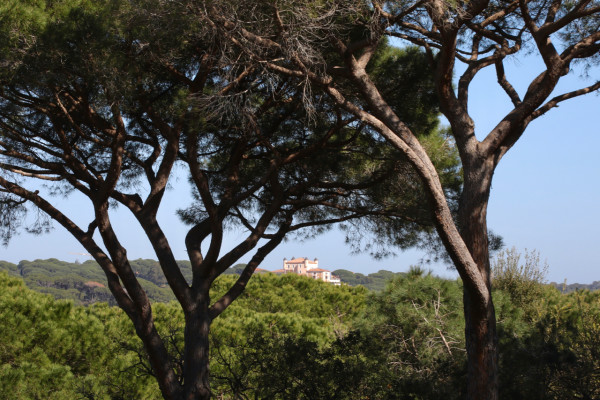 villa in St Tropez : Rent stunning 6 bedroom villa with gym, wine cellar and swimming pool and views over the Mediterranean sea and vineyard in St Tropez - Photo 21