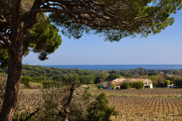 villa in St Tropez : Rent stunning 6 bedroom villa with gym, wine cellar and swimming pool and views over the Mediterranean sea and vineyard in St Tropez - Photo 20