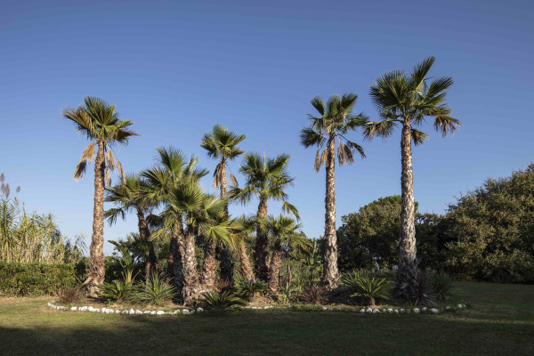 villa in Gassin : Rent majestic 7-bedroom villa  with swimming pool and staff apartment  in Saint Tropez - Photo 59