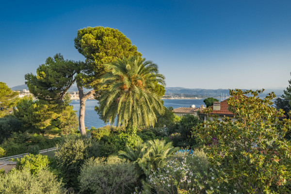 villa in Cap d'Antibes : Rent lovely 6 bedroom ( 5 guests + 1 for staff/teenagers) villa on the Cap d'Antibes within walking distance to the beach - Photo 33