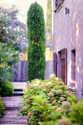 villa in Ramatuelle : Rent this lovely provencal house in Saint Tropez at walking distance to the beach. - Photo 20