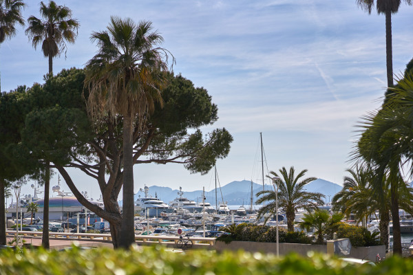 villa in Cannes : Rent this unique property located on the Famous Croisette within walking distance to all the amenities, restaurants, nightlife of Cannes - Photo 32