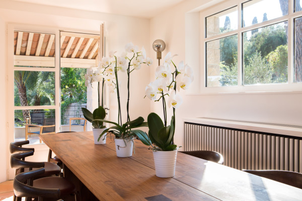 villa in St Tropez : Rent this wonderful luxurious provencal villa in a domain close to St Tropez for 10 guests. - Photo 7