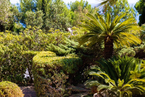 villa in St Tropez : Rent this wonderful luxurious provencal villa in a domain close to St Tropez for 10 guests. - Photo 20