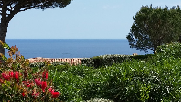 villa in St Tropez : Rent this extraordinary property  nestled in a private and secured domain close to St Tropez. - Photo 5