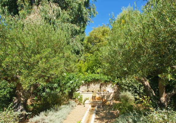 villa in Saint-Tropez : Rent provencal open-plan villa carefully decorated 3m walk from Pampellone’s best beaches - Photo 22