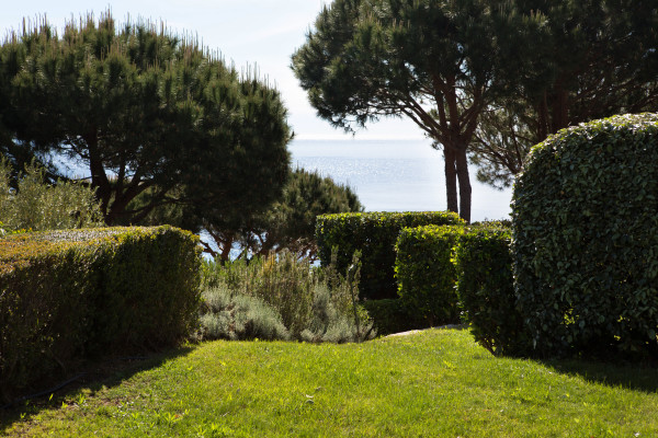 villa in St Tropez : Rent this wonderful renovated provencal villa in a private domain close to St Tropez for 8 guests. - Photo 18
