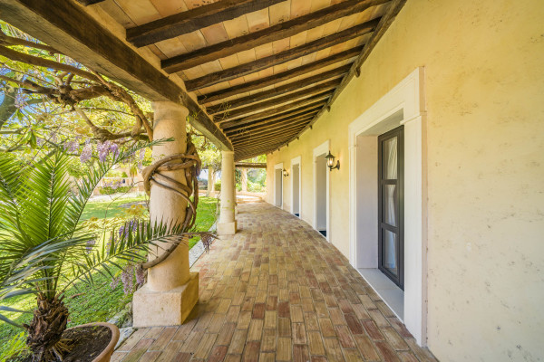 villa in Cannes : Rent this 8 bedrooms with an amazing view of  the Cap d'Antibes and Golfe Juan bay. - Photo 23