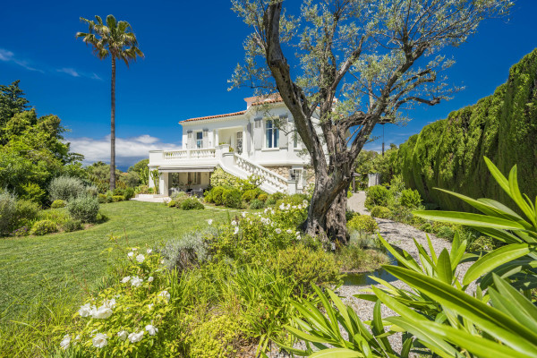 villa in Cap d'Antibes : Rent this 6 bedroom  villa in a quiet area on the cap d'Antibes, walking distance to Juan les Pins. - Photo 31