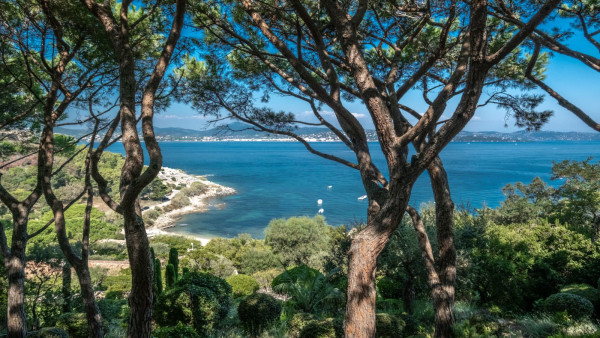 villa in St Tropez : Rent this beautiful 5 bedroom villa located within walking distance to the centre of St Tropez - Photo 5