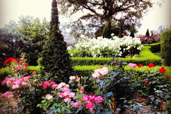 villa in Vence : Rent this magnificent castle with panoramic views - Photo 21