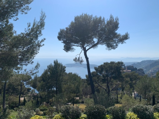 villa in Èze : Rent modern 7 bedroom villa in Eze with stunning sea views - Photo 33
