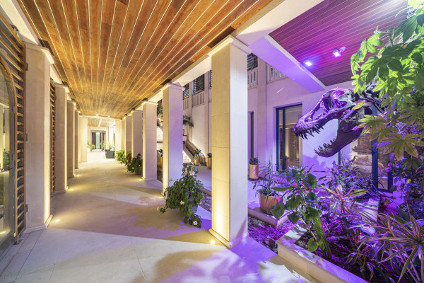 villa in Cannes : Rent Southern Europes most exclusive and stunning villa with 9 bedrooms, panoramic sea views and the height of Luxury - Photo 30