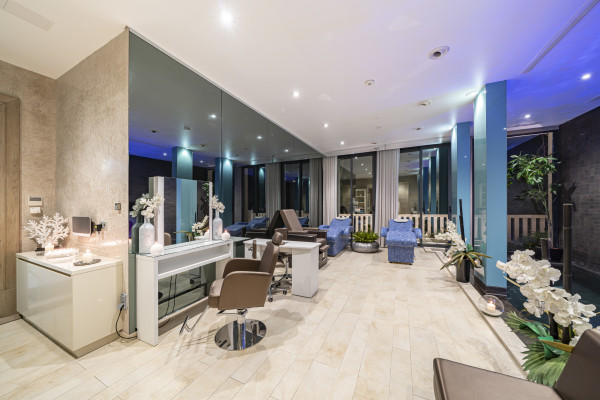 villa in Cannes : Rent Southern Europes most exclusive and stunning villa with 9 bedrooms, panoramic sea views and the height of Luxury - Photo 49