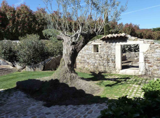 villa in St Tropez : Rent this lovely provencal property in Les Marres for 12 guests. - Photo 6