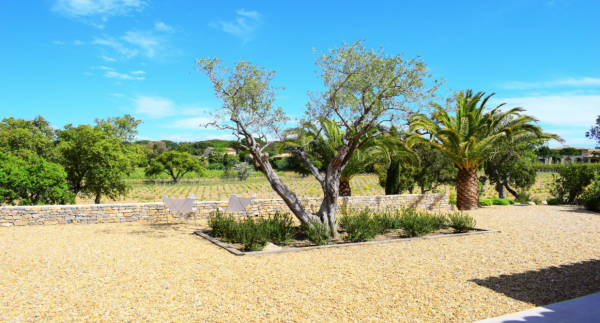 villa in St Tropez : Rent this modern villa ideally located in La Moutte - Photo 18